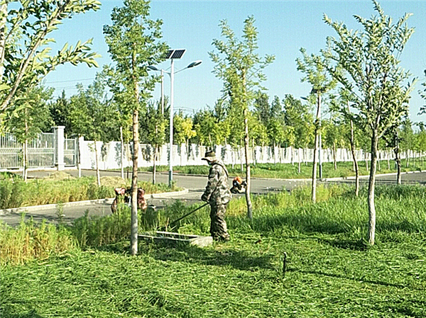 b4145fc83c172cc91ad798dd6d819ec b4145fc83c172cc91ad798dd6d819ec